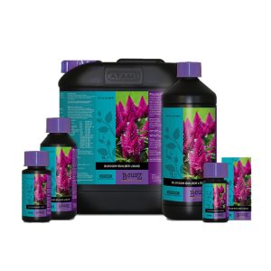 B'cuzz Blossom Builder Liquid PK 14-24 (Atami) potenciador de floración para cannabis en diferentes formatos.