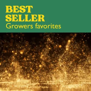 Colección Best Seller de semillas de cannabis con el texto Best Seller Growers favorites sobre fondo oscuro.