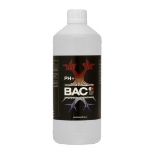 B.A.C. pH Up 1 L regulador para subir el pH.