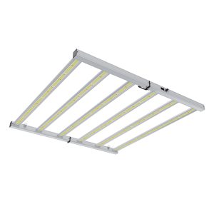 Luminaria LED LazerLite Compact 720W con diodos LED.