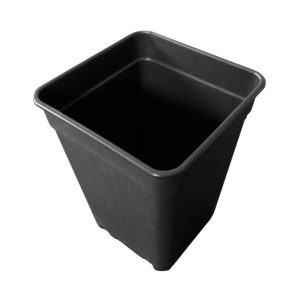 Maceta Pure cuadrada negra de 1 L, 10 × 10 × 14 cm.